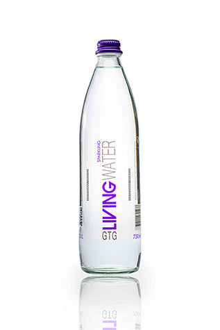 GTG Living Water 750ml Glass Bottle – Sparkling – Single Bottle